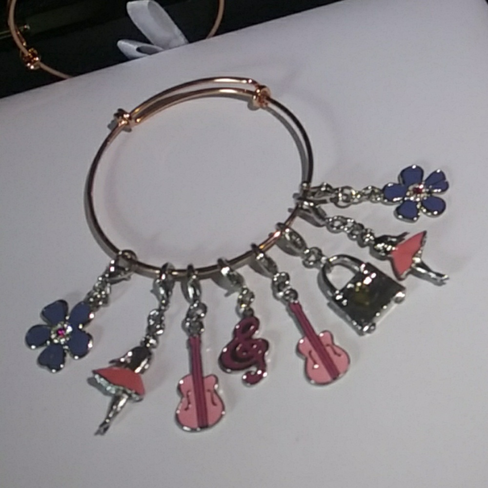 Enameled Hallmark Detachable Charms NWT